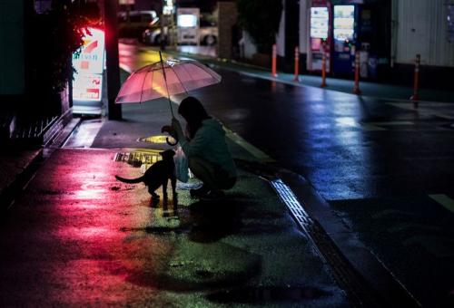 『渋谷ルデコ ねこ写真展』から ©Masakazu Ikeguchi
