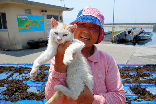 猫を抱っこする紙本直子(かみもとなおこ)さん<br />1950年生まれ。大分県出身。中学卒業後、岡山の縫製工場に集団就職。結婚後、愛媛に移り住んだ。2014年の「見守る会」発足から会長。