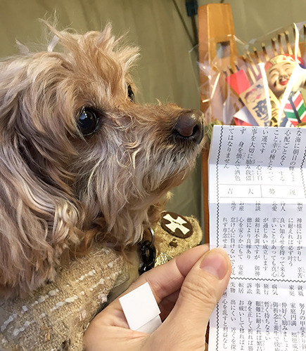 大吉ゲット!
