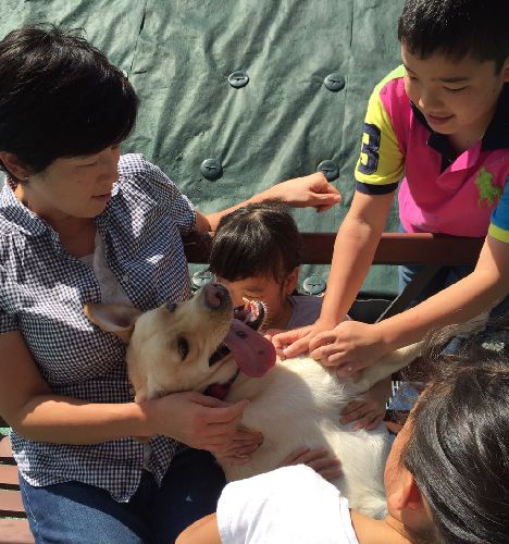 1分でも長く撫でていたい!明子さんと子供たちと嬉しい触れ合い