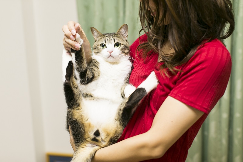 チカさんに抱っこされるすずめ