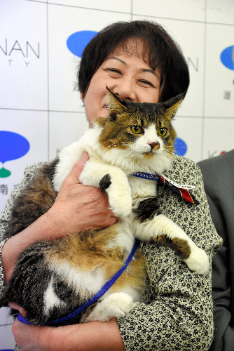 6代目のこにゃん市長に就任した雑種ジュリアーノと「秘書」役の豊永町子さん=滋賀県湖南市役所