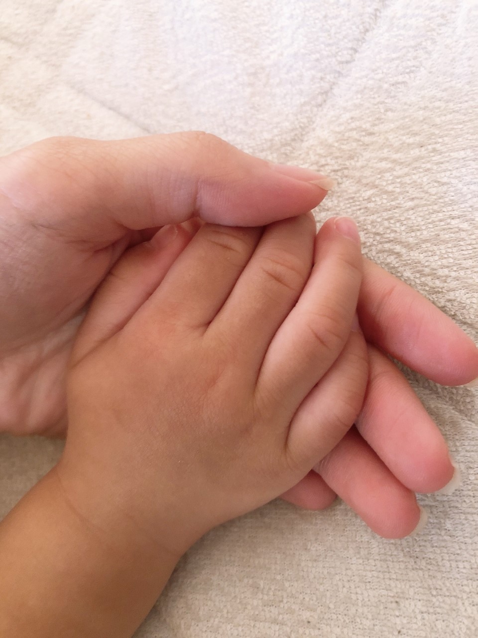 この家では産めない 18歳でホームレス妊婦に 支援受けられず公園で過ごした日々 コロナ禍の今伝えたいこと まいどなニュース この家では産めない 18歳でホームレス妊婦に 支援受けられず公園で過ごした日々 コロナ禍の今伝えたいこと まいどなニュース