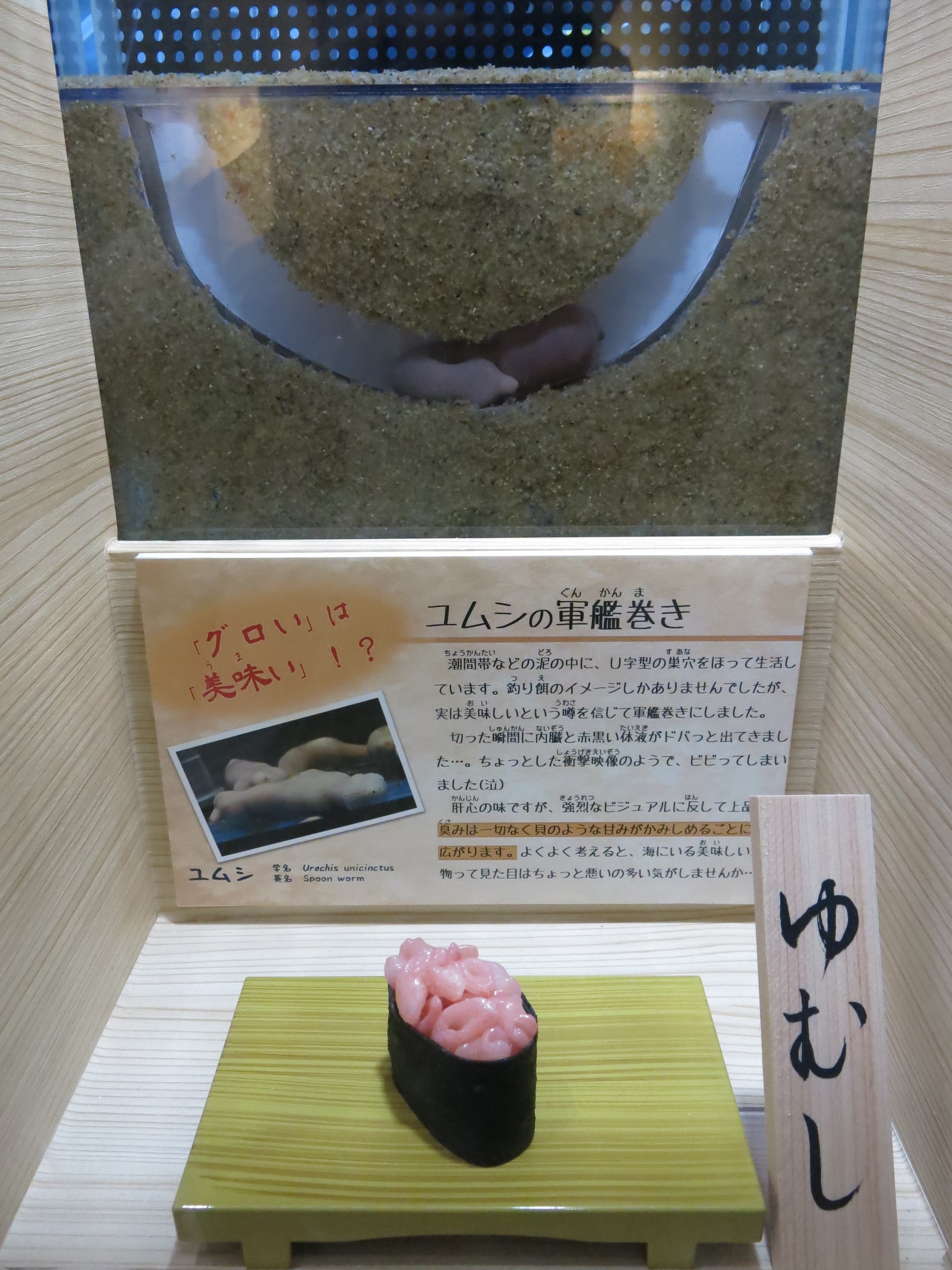 寿司とネタの魚たちを同時展示 タブー破った水族館の熱量が半端ない まいどなニュース