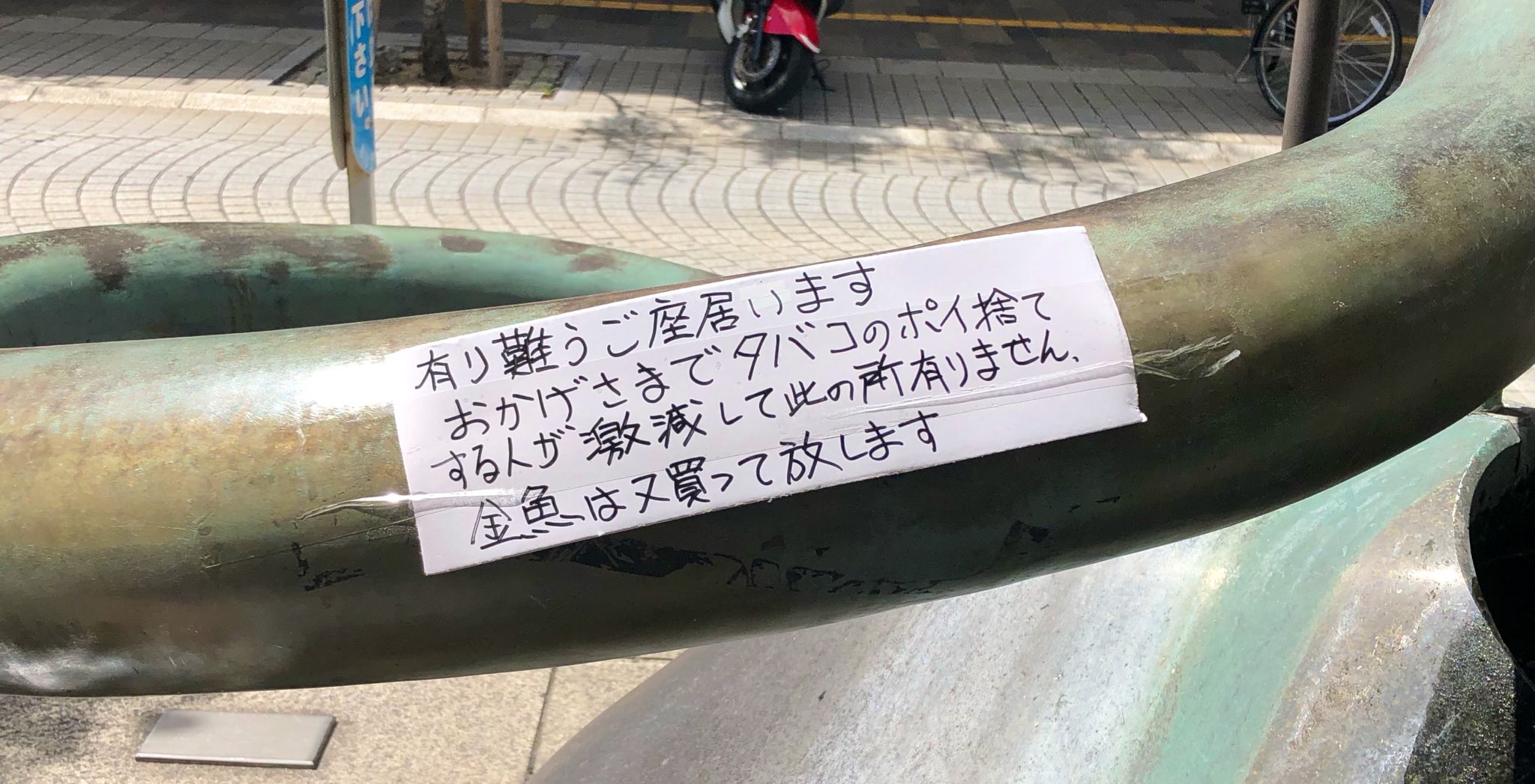 ポイ捨て激減に感謝 また金魚を買って放します あの商店街の怒りの貼り紙が変更 まいどなニュース