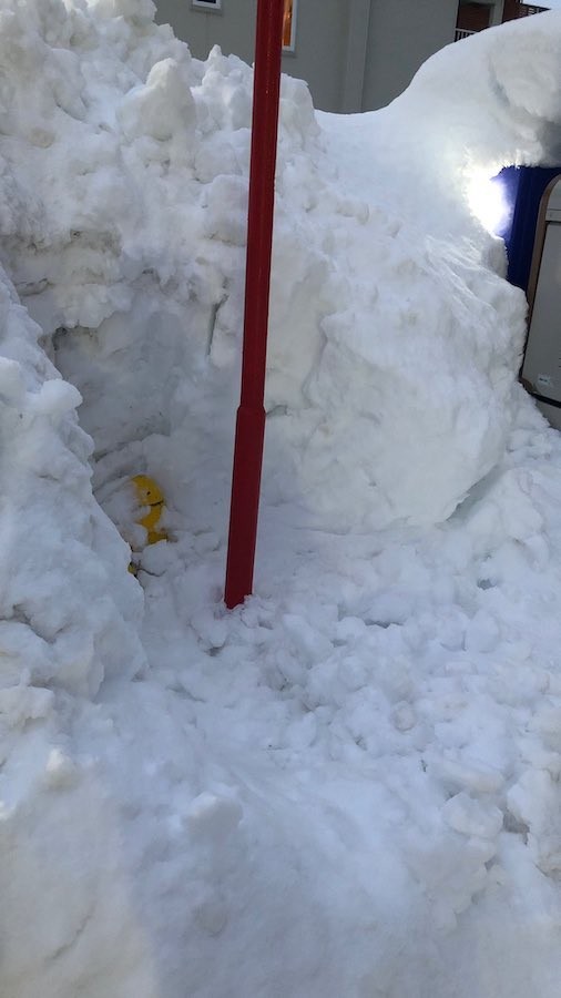 ぐんぐんグルトは今日も買えなかった 雪に埋もれる自販機の定点観測ツイートが話題 1カ月後ついに 裏切ったな どうして まいどなニュース