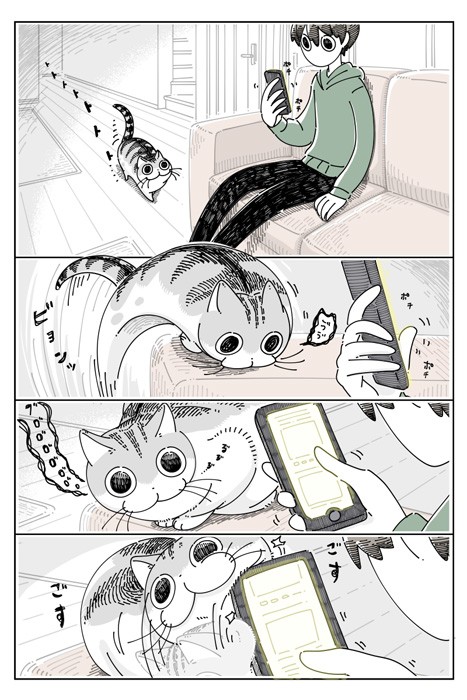 漫画 猫 しまった 甘えたかっただけなのに 可愛い虚無顔に１４万いいね 昨日同じ流れでツメ切った笑 まいどなニュース