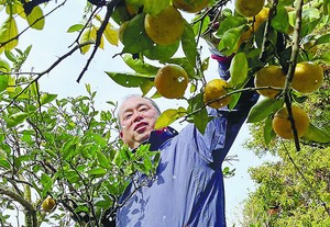 農協職員