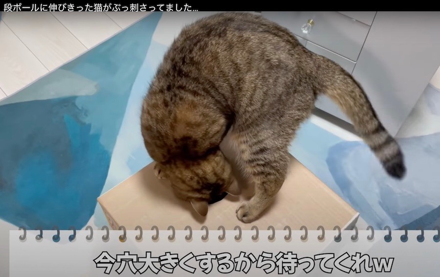 H6vamwu8rbx Em H6vamwu8rbx Em