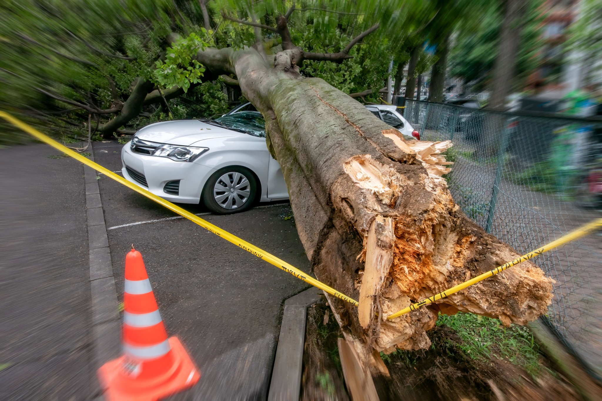 予期せぬ不幸は自業自得 考え方に違い アメリカ人 将来の人生の糧に 日本人 日頃の行いのせい まいどなニュース 予期せぬ不幸は自業自得 考え方に違い アメリカ人 将来の人生の糧に 日本人 日頃の行いのせい まいどなニュース