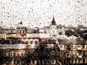 長い長いキスの後に気づいた。「私を好きなわけじゃないですよね？」