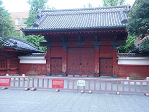 写真・図版