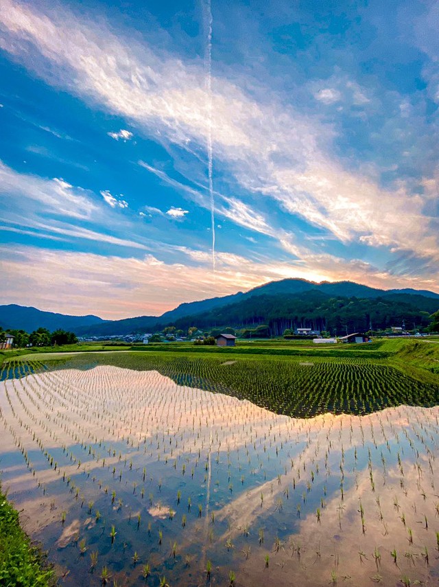空が田んぼに映り込んでる 反転した世界まで美しすぎる田舎の風景が話題 天と地をつなぐ飛行機雲にも注目 まいどなニュース