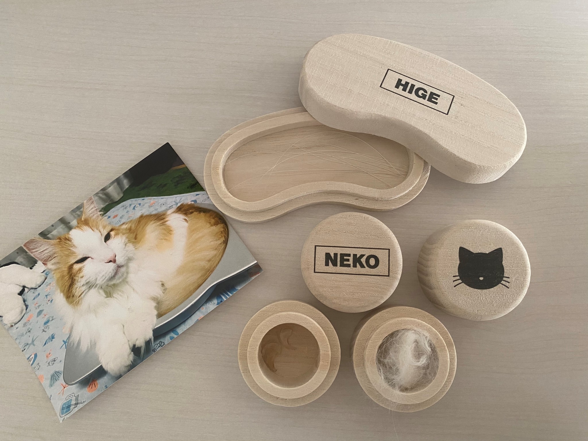 家族に迎えた日に分かった病u2026話題の3COINS『猫のひげケース』愛猫との 