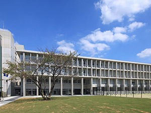 写真・図版