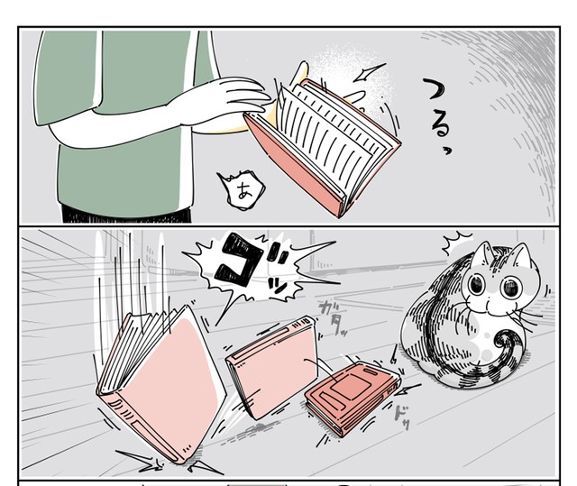 漫画 予測できない 猫のしっぽが膨らむ瞬間 ビックリポイント難しいですね 猫飼いさんに共感 まいどなニュース