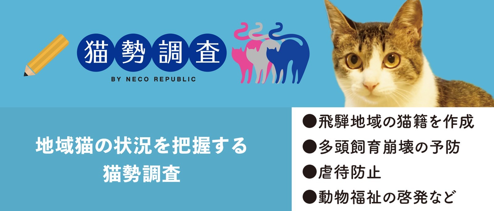 猫の手を借りて人と街が幸せに 殺処分がほとんどない岐阜県飛騨市の