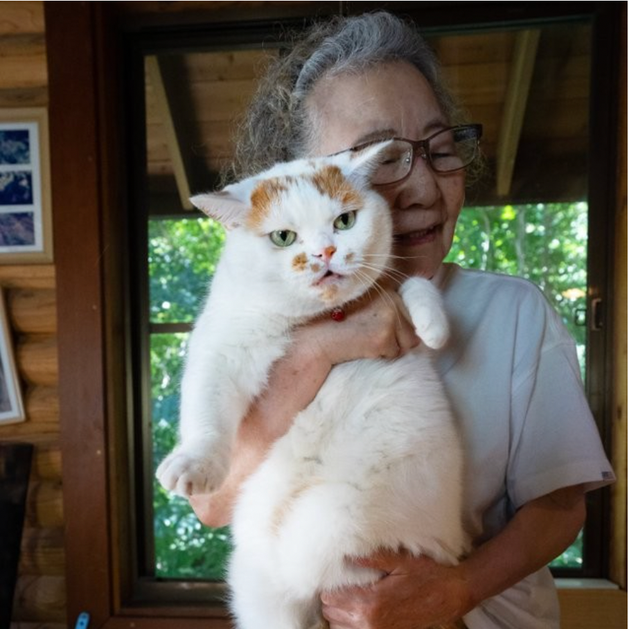母さんの抱っこならokと猫ちゃん 甘え顔 でも 30秒だけにゃ 不機嫌な顔へのビフォーアフターに爆笑 まいどなニュース