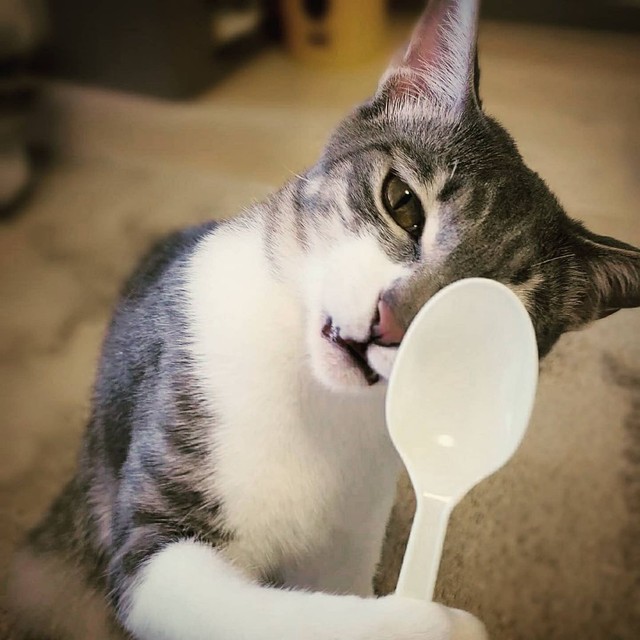 眼科検診？竹ぽん