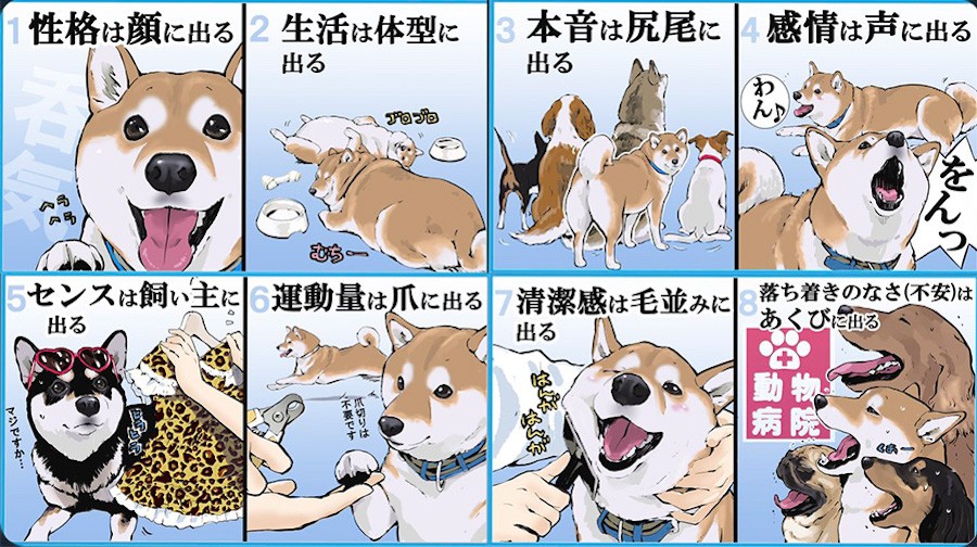 漫画 犬版 自分を表す八か条 に共感殺到 センスは飼い主に出る センスなくてマジごめんやで まいどなニュース