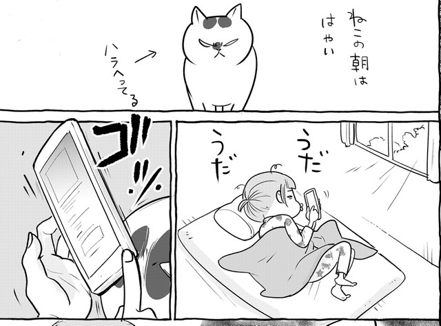 漫画 朝のスマホを許さない猫 容赦ない頭突きに猫飼いさんが共感 毎朝これ 休みとか関係ありません まいどなニュース