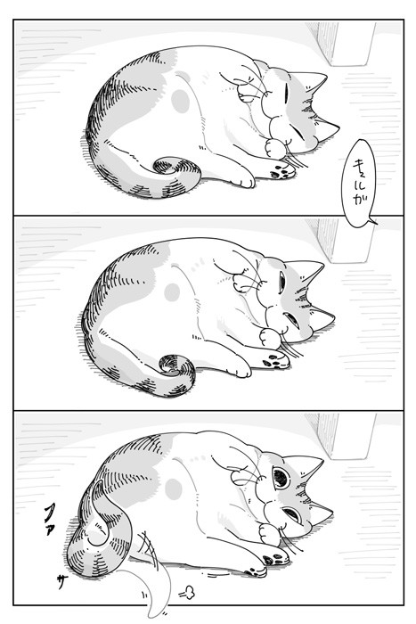 漫画 猫を呼んだら しっぽで返事 優しくファサッ Or バタバタビチビチ この差はなに 反応の違いに驚き まいどなニュース