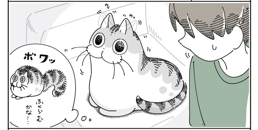 漫画 予測できない 猫のしっぽが膨らむ瞬間 ビックリポイント難しいですね 猫飼いさんに共感 まいどなニュース 漫画 予測できない 猫のしっぽが膨らむ瞬間 ビックリポイント難しいですね 猫飼いさんに共感 まいどなニュース
