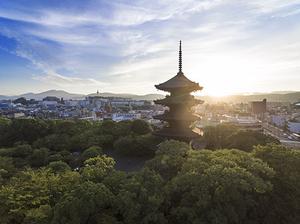 东寺五重塔 朝日新聞中文网