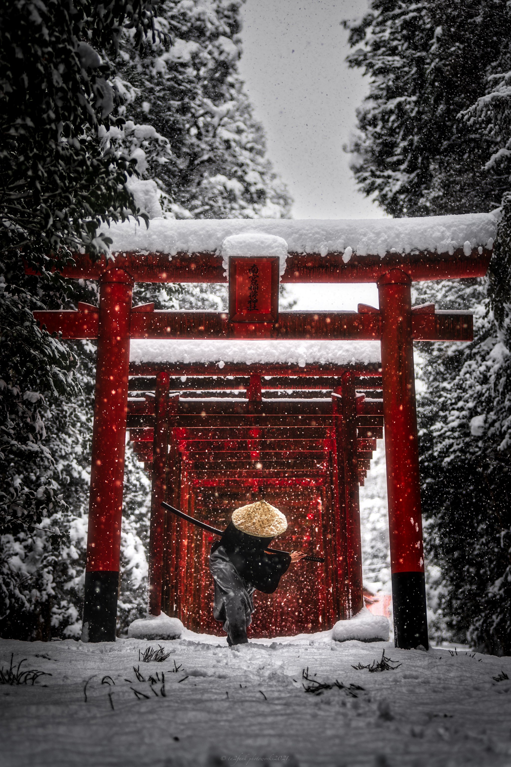 なぜか今クリスマスツリー そしてヤギ いろとてな毎日