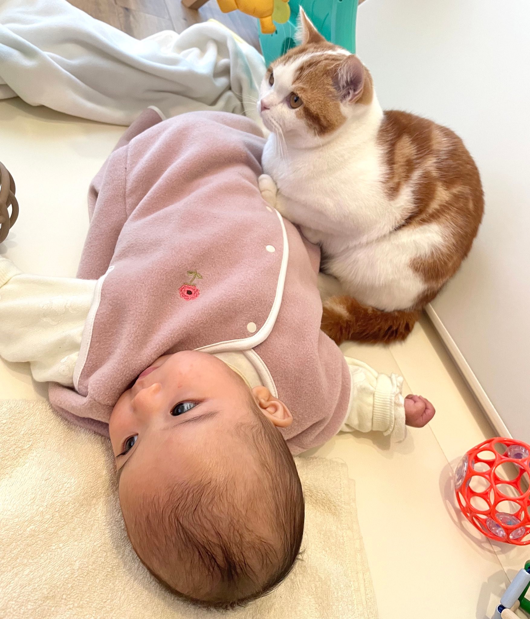 寝返り練習のお手伝い 赤ちゃんの腰に手を添える猫 手伝うニャン 優しい お世話頑張って まいどなニュース