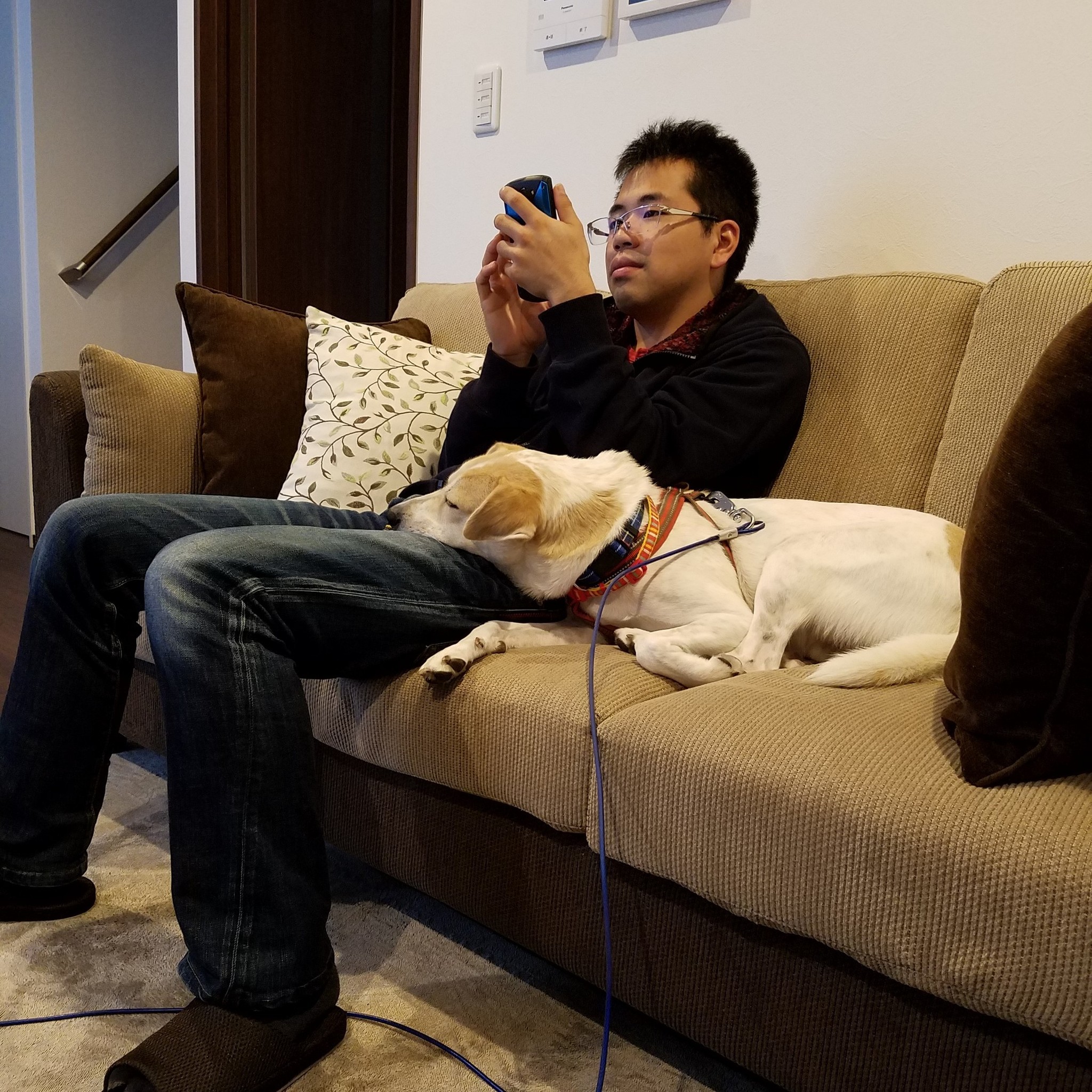 崖の上から救助された 崖っぷち犬 ポニョ君 12回の引っ越しを経て優しい家族と出会う まいどなニュース