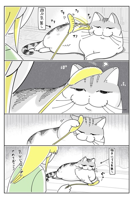漫画 遊ぶ気分じゃない猫さんに 猫じゃらしを ふりふり すると これめっちゃわかるわ その気のない表情に爆笑 まいどなニュース