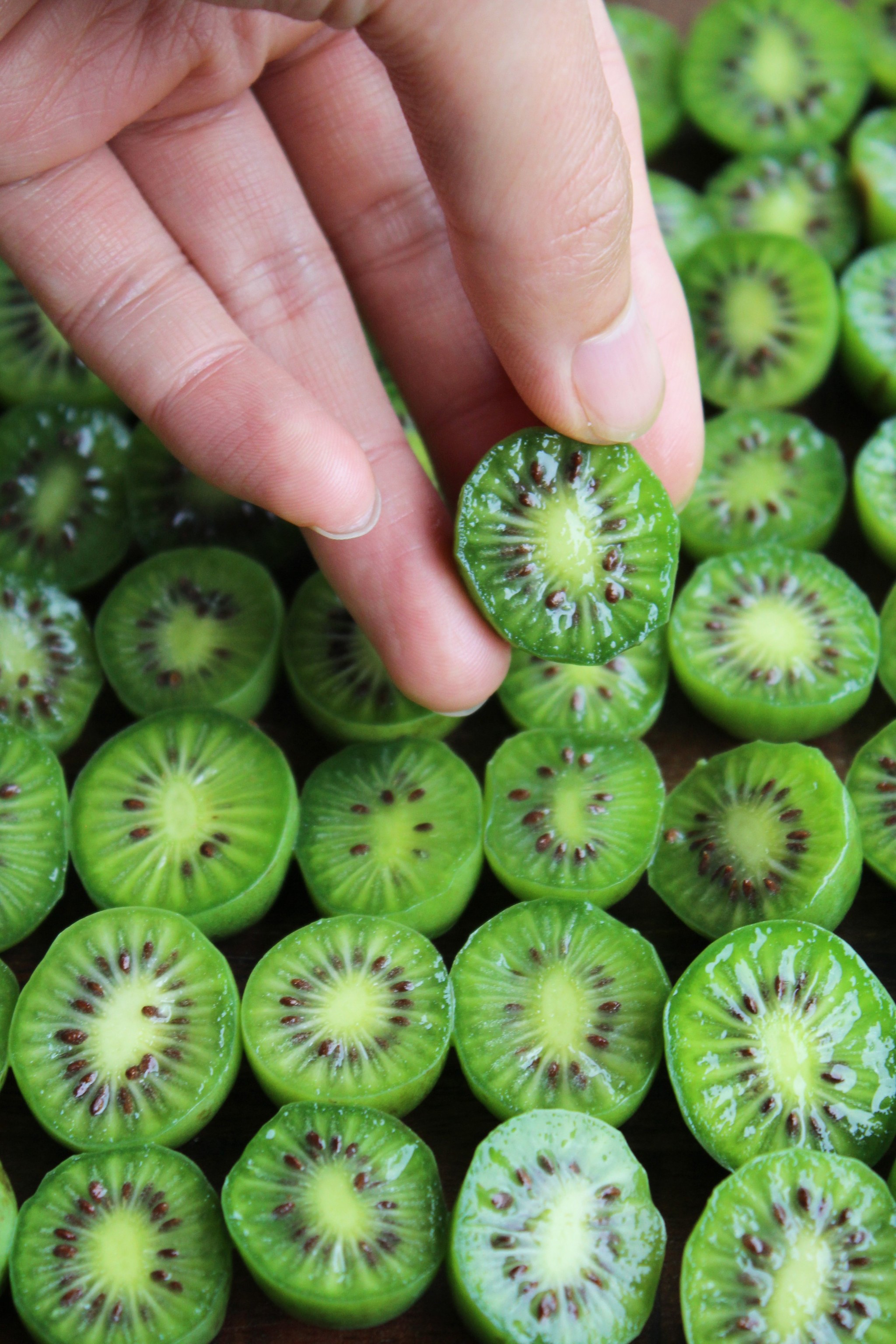 キウイそっくりだけど極小サイズ おいしく栄養価に富んだ キウイベリー そのまま丸ごと食べられる よろず ニュース