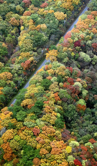 紅黃葉繽紛妝點山頭大分縣九重連山紅葉正盛 影片 朝日新聞中文網