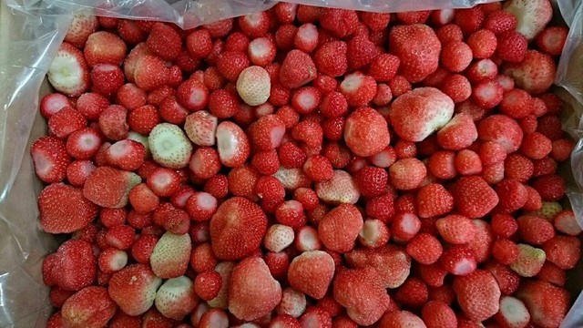 業者から託された、北海道産の冷凍イチゴ。10㎏の販売ながら、２時間で売り切れました（提供）
