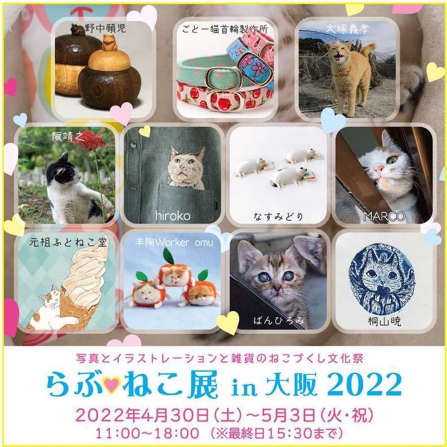 どぅるん 逃げる猫に うわぁ と父 娘が撮影した４コマ劇場に爆笑 猫じゃなく鰻 お父さんを夢中で見た まいどなニュース