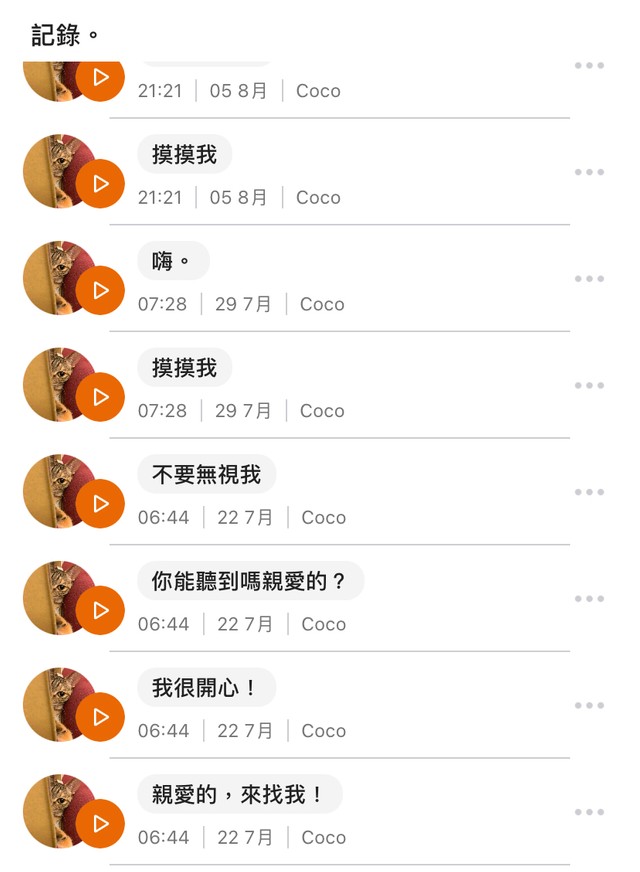 クールな台湾猫 実は熱烈な かまってちゃん だった 愛する人 私のところに来て さわって まいどなニュース