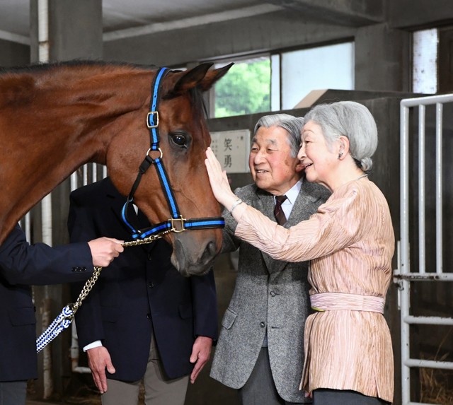 天皇皇后兩陛下慰勞 神馬 親手餵紅蘿蔔與方糖 朝日新聞中文網