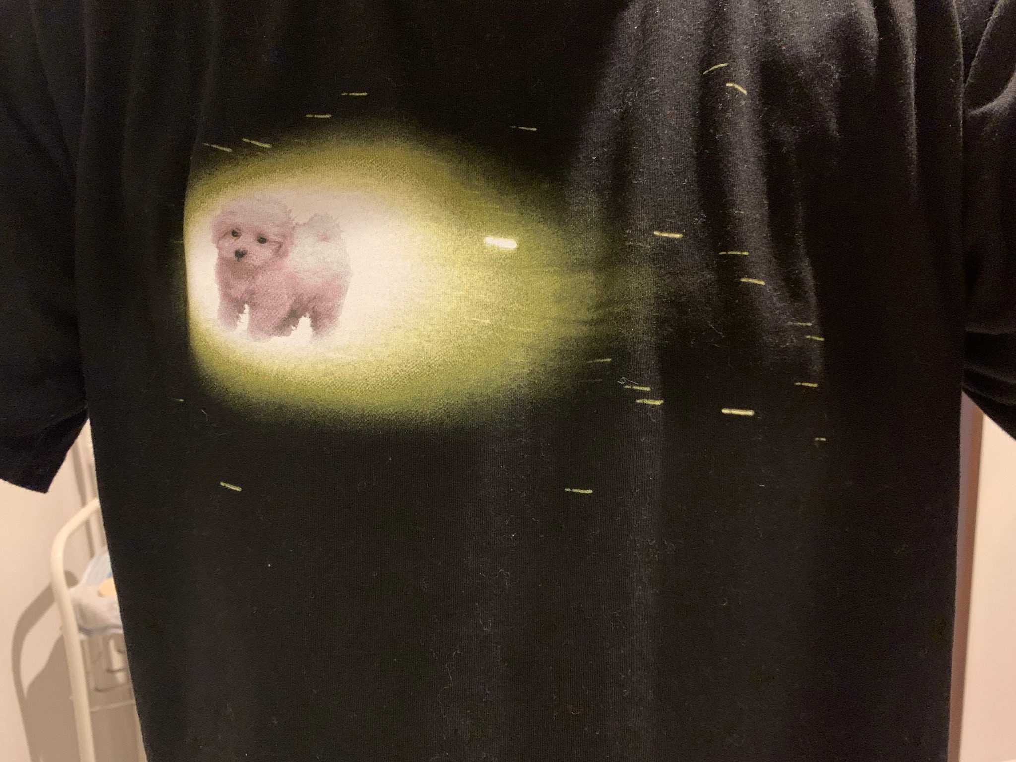 医師 それ 飼ってた犬 死んだの シュールすぎるtシャツに13万いいね デザイナーに誕生秘話を聞いた まいどなニュース