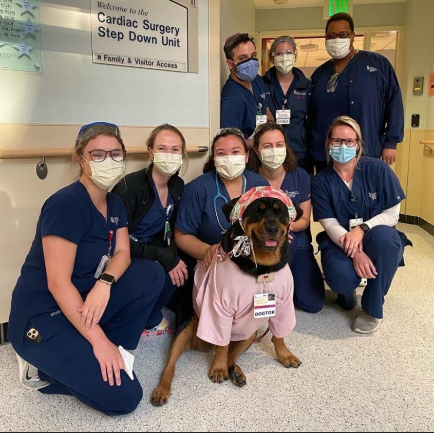 コロナ禍 米国で広がるセラピー犬のオンライン訪問 きっかけつくった ドッグター まいどなニュース