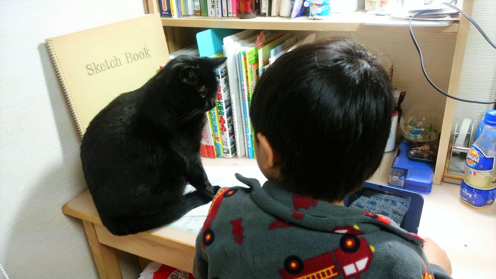黒猫は招き猫!自らトートバッグに入ってきた猫は、家族に