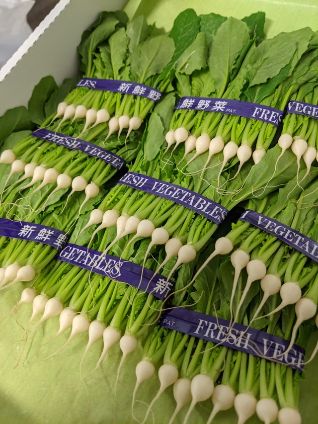 か かわいい ミニチュアサイズのカブが話題 東京の知られざる名産 作り続ける農家の思い まいどなニュース