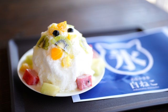 まるでフワフワの白い猫みたい 人気のかき氷 その名も 白ねこ 猫好きの間で話題に まいどなニュース