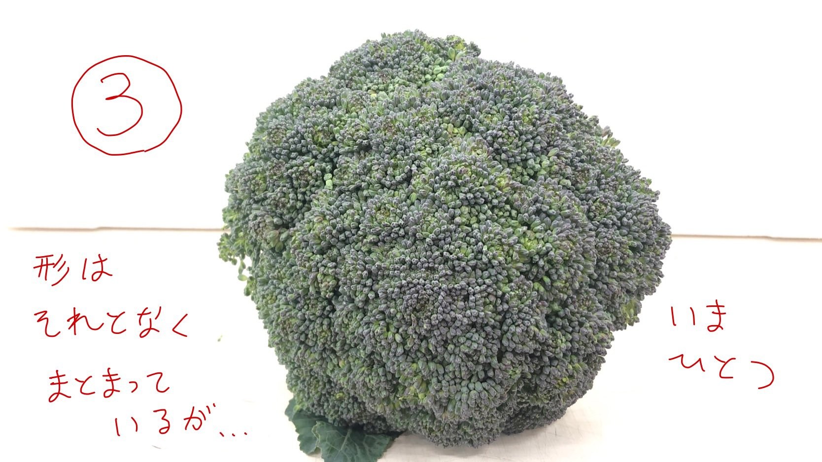 ブロッコリー 野菜室に入れてませんか プロのつぶやきに驚きの声広がる 知らなかった まいどなニュース