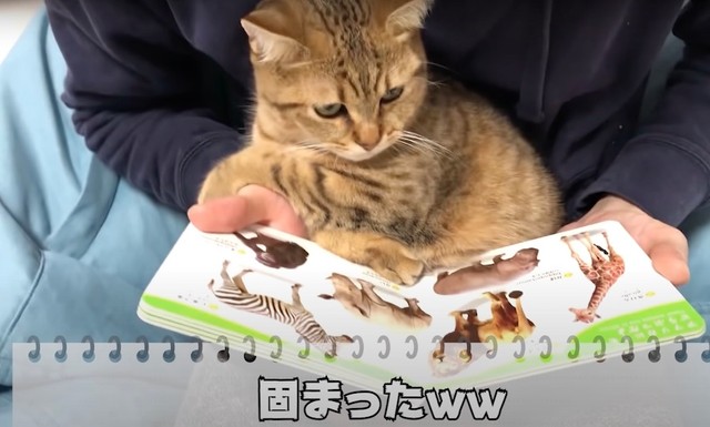 H6vamwu8rbx Em H6vamwu8rbx Em