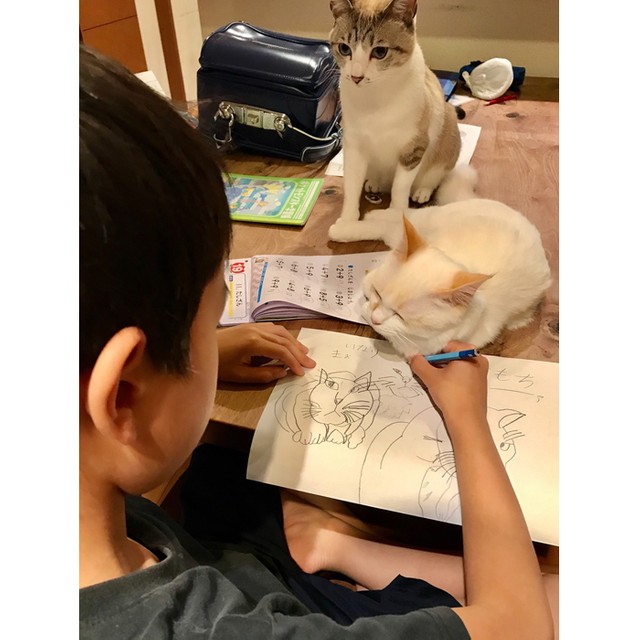 宿題よりも好きな絵を描く時間が 大切で尊い という母の発言が話題 そんな小１男子の猫の絵が魅力的すぎる まいどなニュース