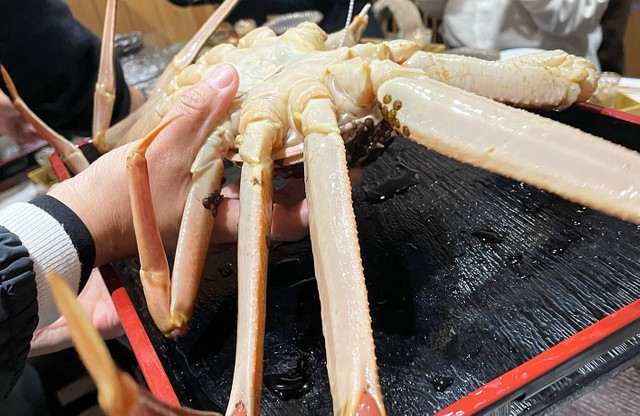 日本酒が進む松葉がにの刺身に舌鼓を打つ カニの五冠王 鳥取に行ってみた カニ殻のスキンケア用品まで まいどなニュース
