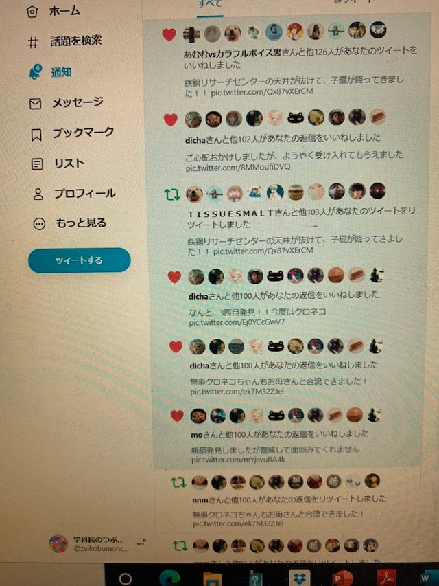 天井から子猫が降ってきた 大学院の研究室で起きた予想外のハプニングに 僕らは猫ちゃんと学生実験してたのか まいどなニュース