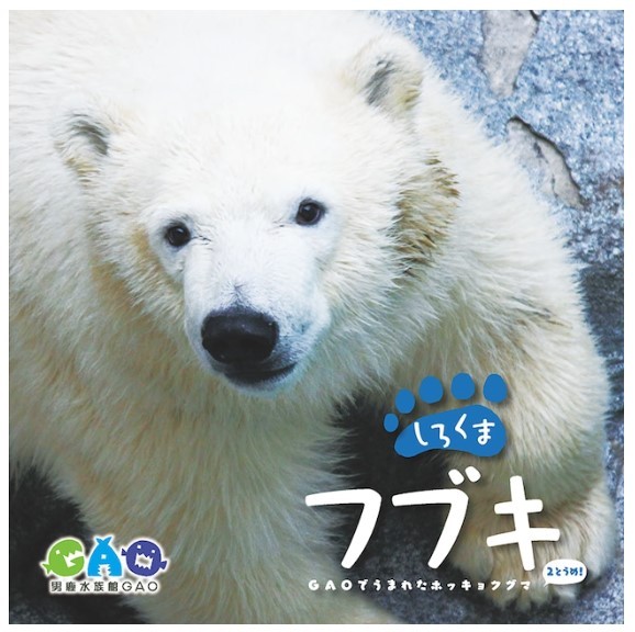 秋田生まれのホッキョクグマ写真集が かわいい 濃厚 と大反響 ファン撮影写真も掲載 タイトル 2とうめ に込めた思いは まいどなニュース 秋田生まれのホッキョクグマ写真集が かわいい 濃厚 と大反響 ファン撮影写真も掲載 タイトル 2とうめ に込めた思いは まいどなニュース