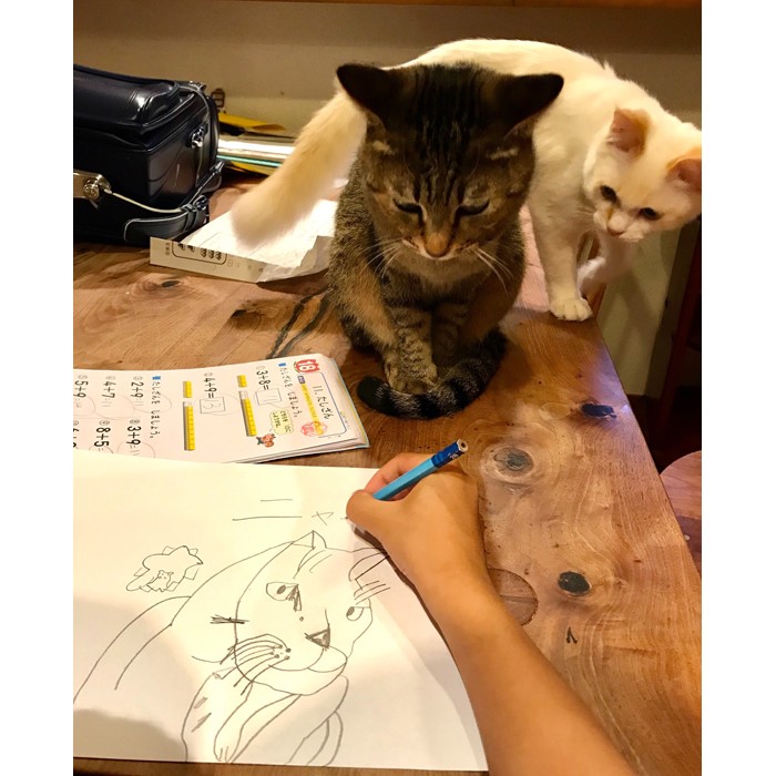 宿題よりも好きな絵を描く時間が 大切で尊い という母の発言が話題 そんな小１男子の猫の絵が魅力的すぎる まいどなニュース